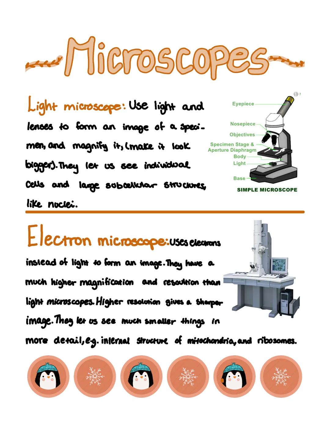 Microscopes 