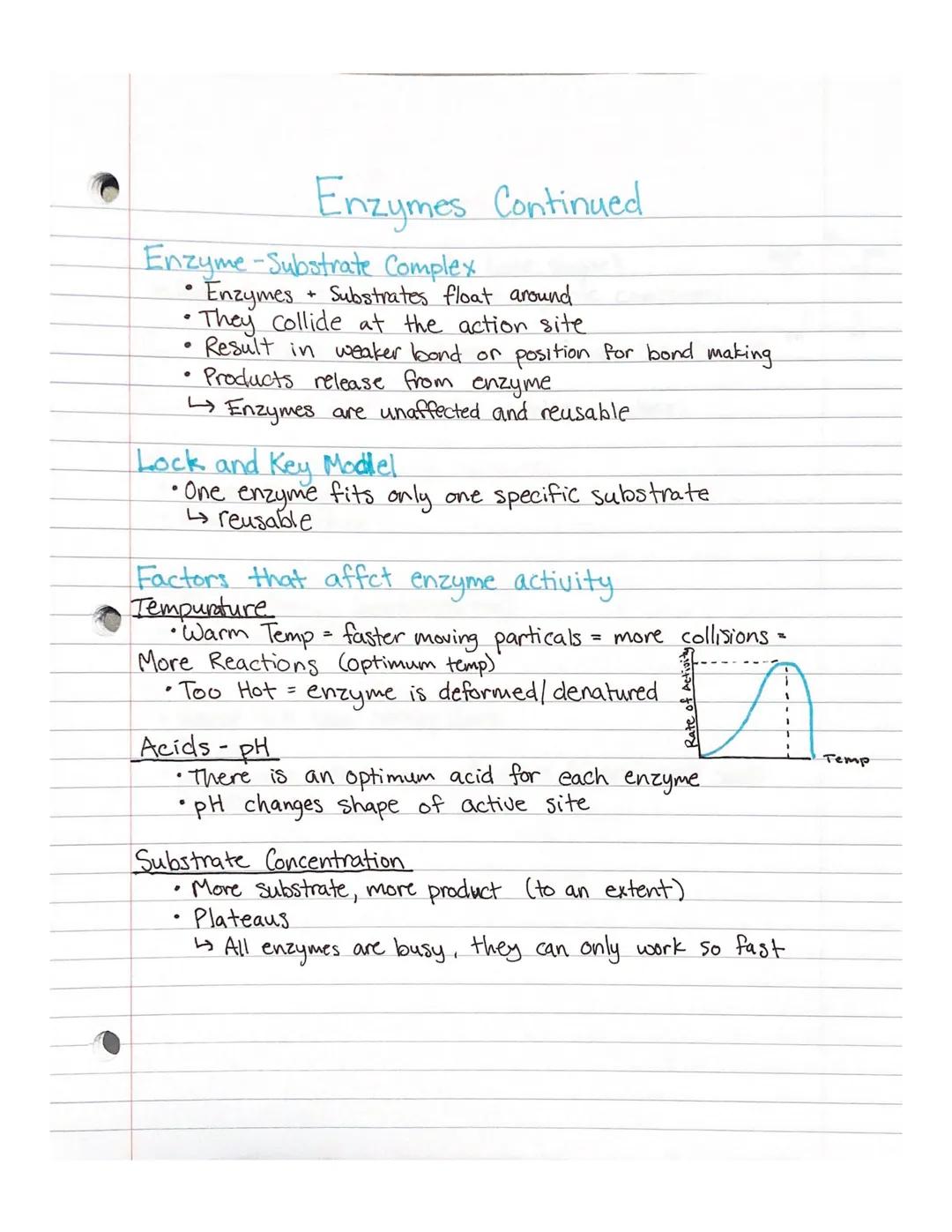 # Enzymes

Energy ability to move or change matter

*   Can be stored or released by chemical reactions

Chemical Equations

Reactants Produ