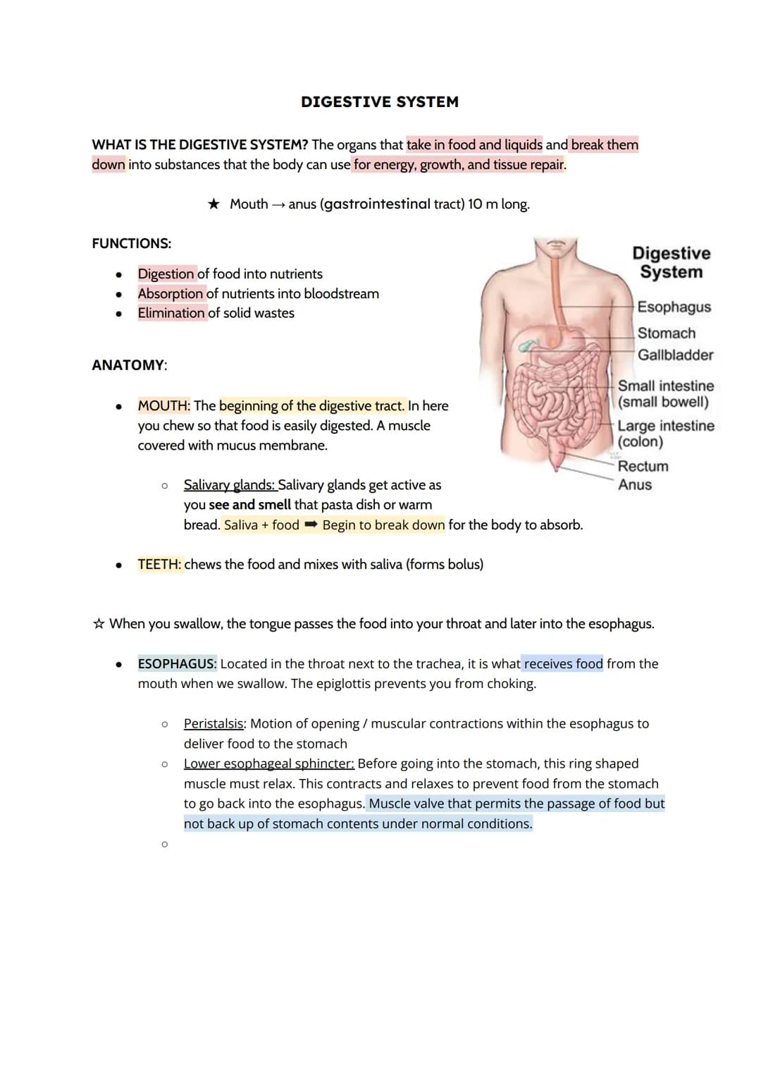 WHAT IS THE DIGESTIVE SYSTEM? The organs that take in food and liquids and break them
down into substances that the body can use for energy,