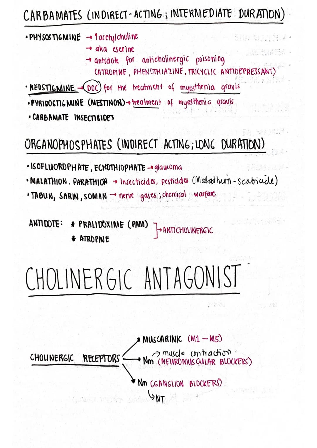 ACETYLCHOLINE
CHOLINE
NA*
6
RECYCLING
OF CHOLINE
Ca²+
S DEGRADA-
Pr
TION OF
ACETYLCHOLINE
+Cast
CHOLINE
Na*
ACETYLCHOLINE
CHOLINE
ACETATE
SY