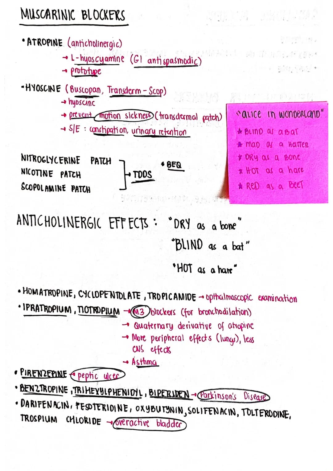 ACETYLCHOLINE
CHOLINE
NA*
6
RECYCLING
OF CHOLINE
Ca²+
S DEGRADA-
Pr
TION OF
ACETYLCHOLINE
+Cast
CHOLINE
Na*
ACETYLCHOLINE
CHOLINE
ACETATE
SY