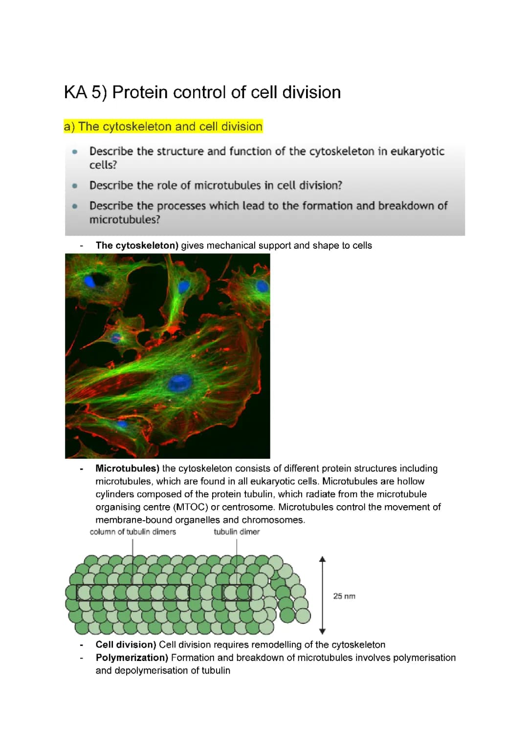 Advanced Higher Biology: Protein Control of Cell Division Notes & More!