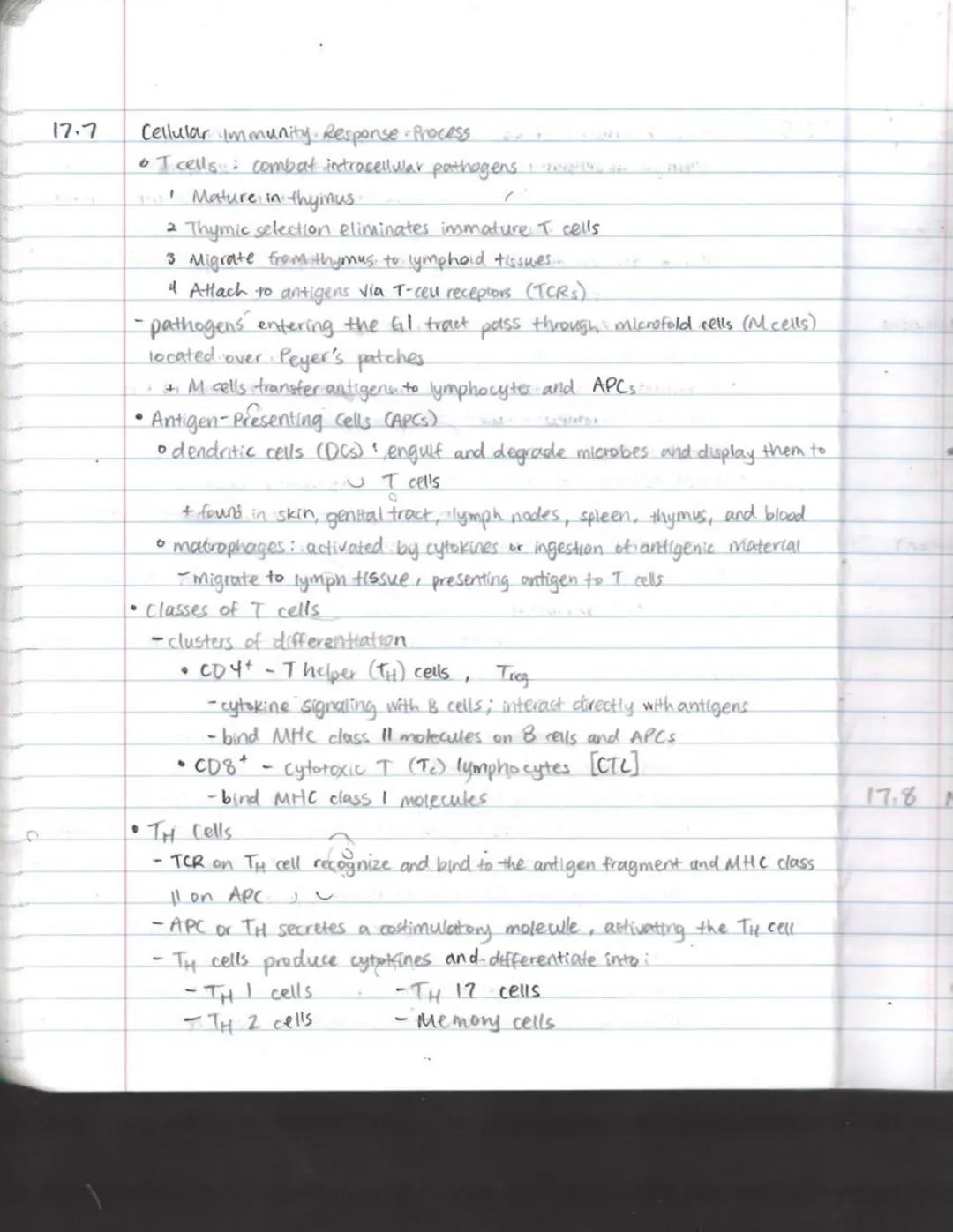 12.1
17.2
17.3
3
17
AD APTIVE
IMMUNITY
Adaptive Immunity: defenses that target a specific pathogen
- acquired through infection or vaccinati