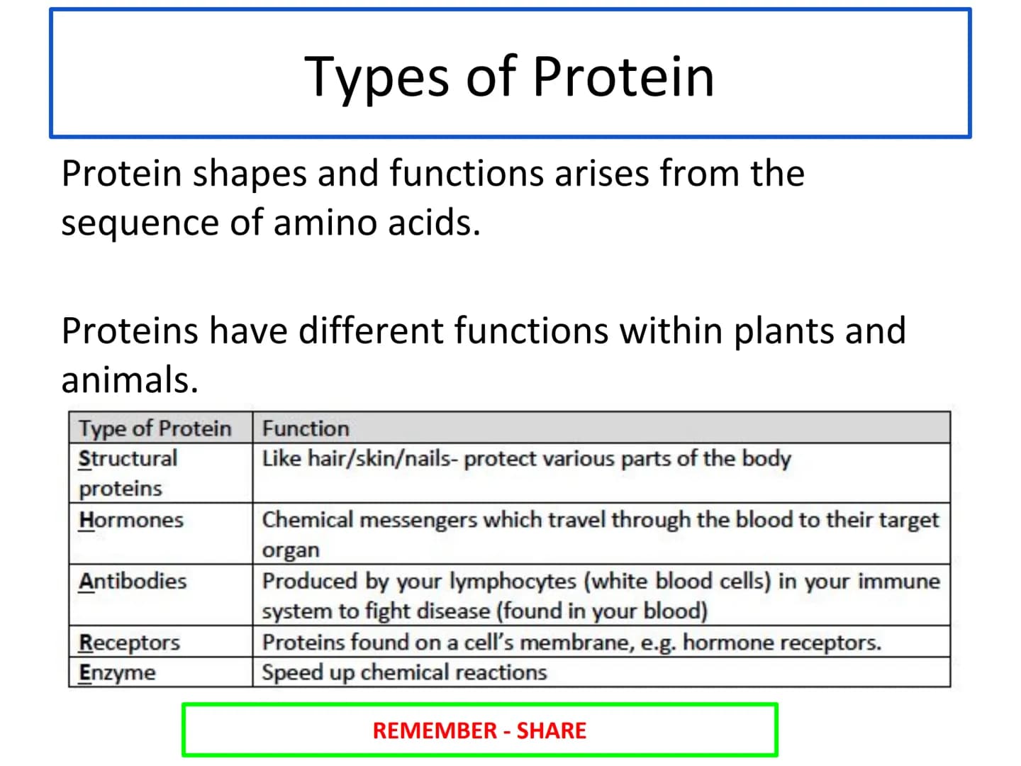 N5 Unit 1 KA4
Proteins and Enzymes N5 biology course
1. Cell Biology
2. Multicellular Organisms
3. Life on Earth Unit 1 Cell Biology
1. Cell