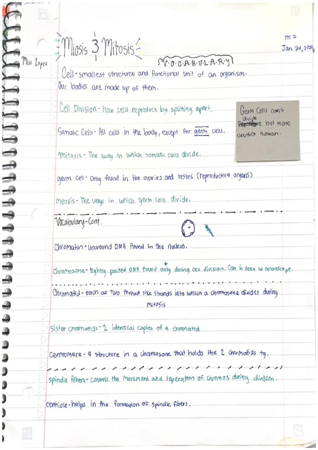 Miss Lopez
Miosis 3 Mitosis
S·O·C·A·B·U·L·A·R·Y!
Cell-smallest structural and functional unit of an organism.
Our bodies are made up of them