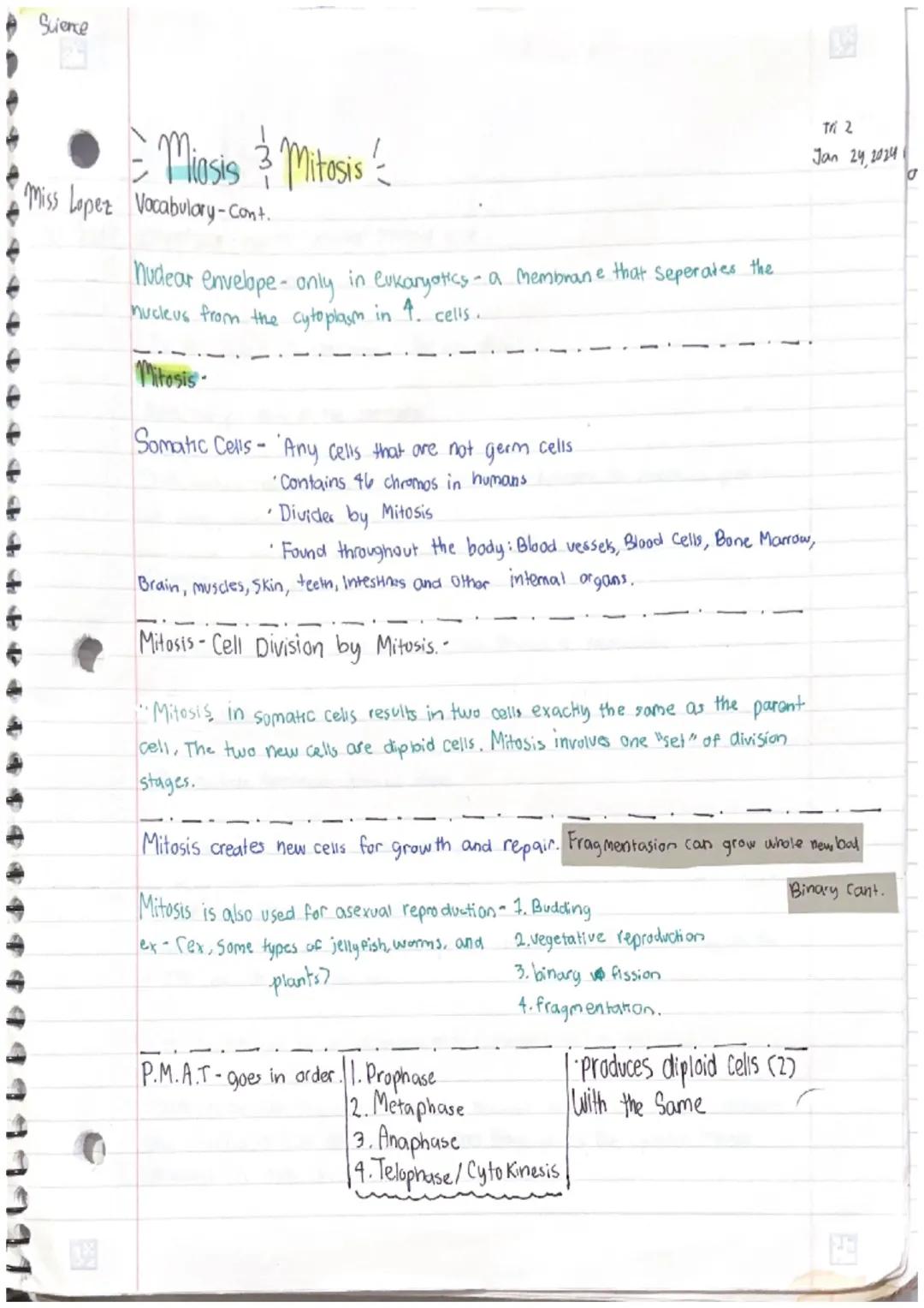 Miss Lopez
Miosis 3 Mitosis
S·O·C·A·B·U·L·A·R·Y!
Cell-smallest structural and functional unit of an organism.
Our bodies are made up of them