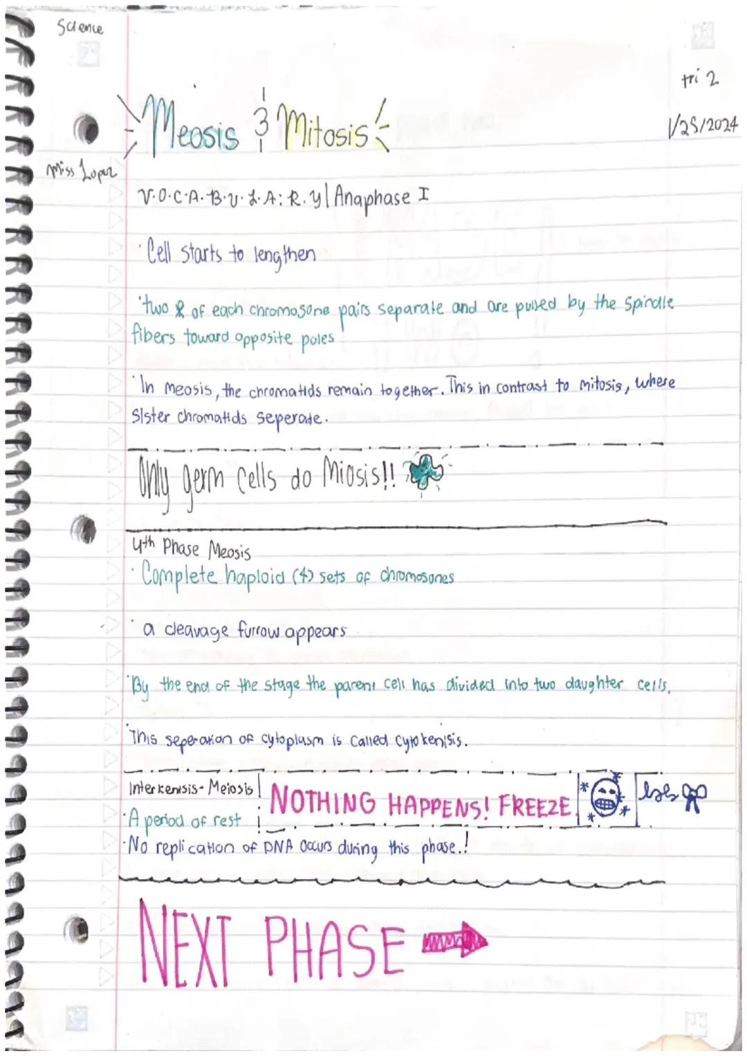 Miss Lopez
Miosis 3 Mitosis
S·O·C·A·B·U·L·A·R·Y!
Cell-smallest structural and functional unit of an organism.
Our bodies are made up of them