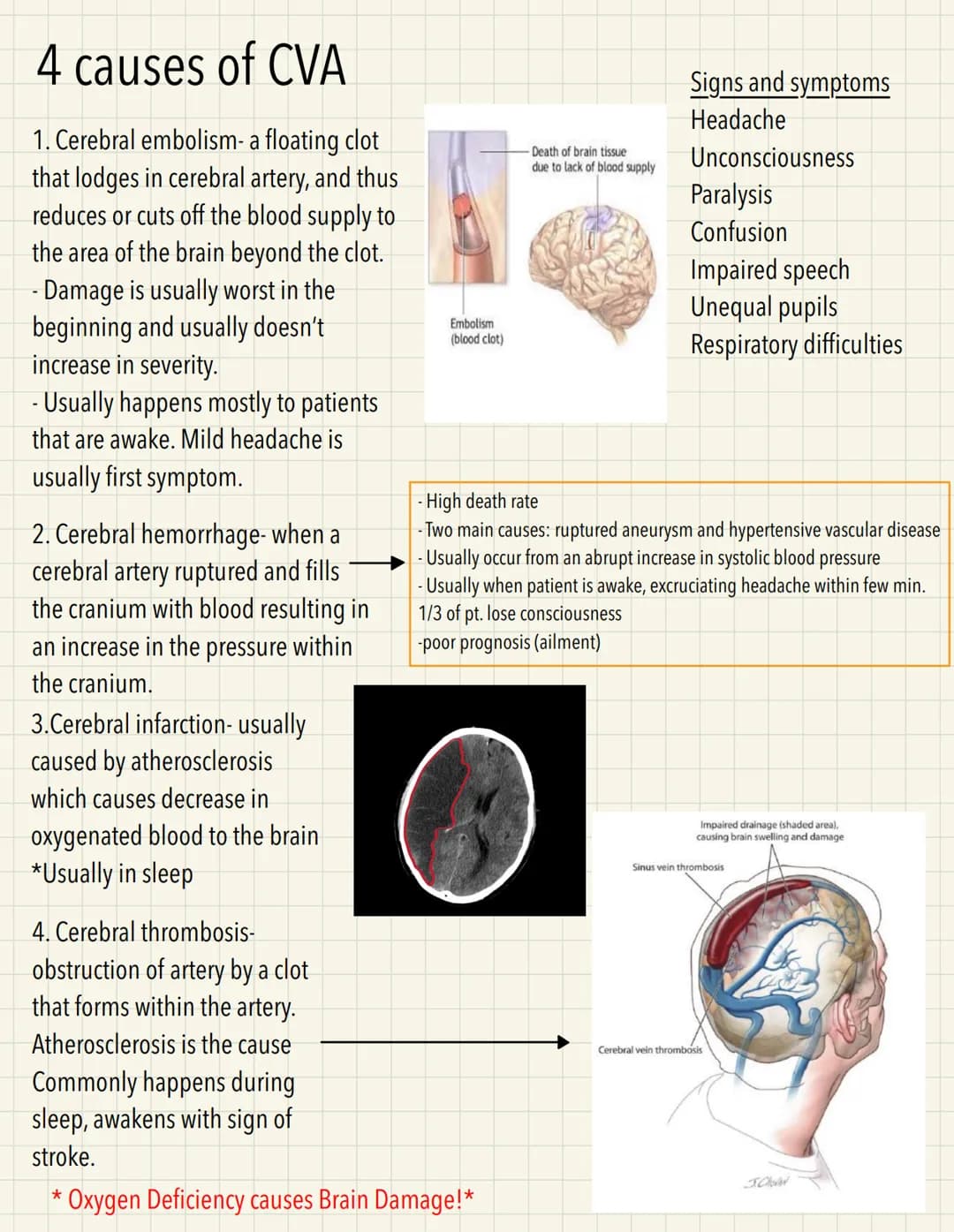 Cerebrovascular Accident
- A loss of blood flow to part of the brain which damages brain tissue.
- Caused by blood clots and broken blood ve