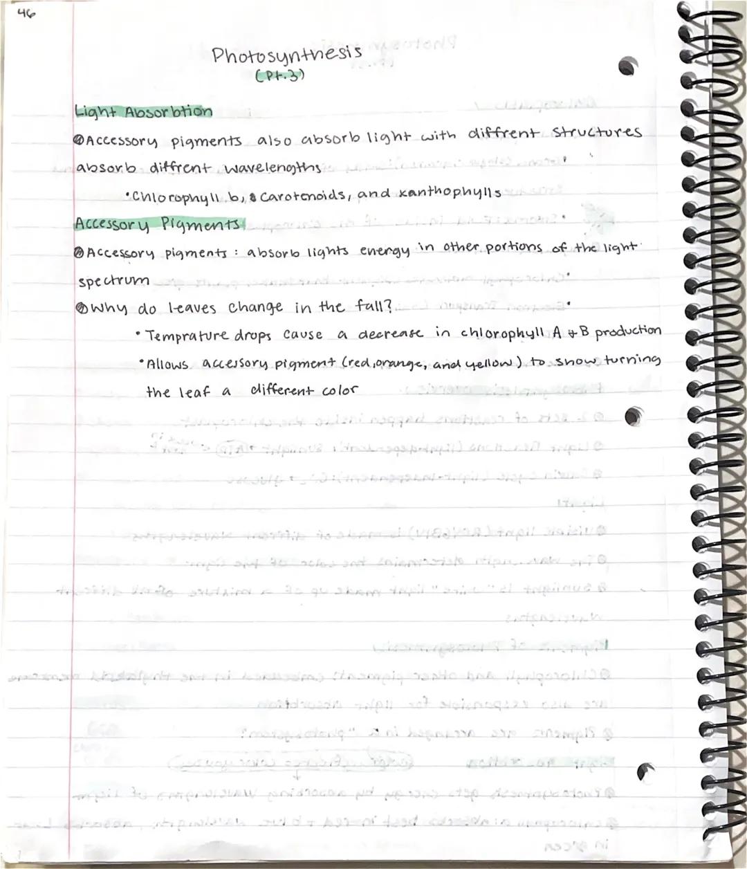 44
# Photosynthesis
(P.1)

*Autotrophs vs heterotrophs*

*   Autotrophs (AKA Producers): make their own food by building organic molecules
*