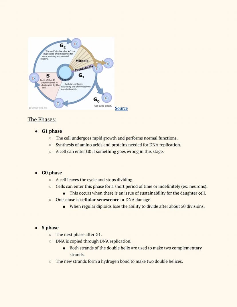 Adv. Science: Genetics
Unit 8
Topics: Cell Cycle and Regulation, Gene Regulation, Cancer, Mutations,
and Carcinogens
Lesson 1: Cell Cycle an