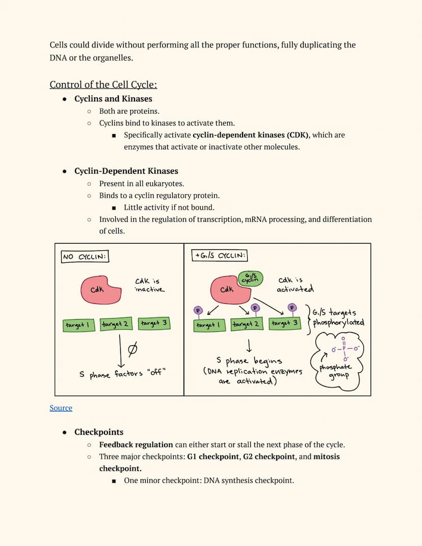 Adv. Science: Genetics
Unit 8
Topics: Cell Cycle and Regulation, Gene Regulation, Cancer, Mutations,
and Carcinogens
Lesson 1: Cell Cycle an