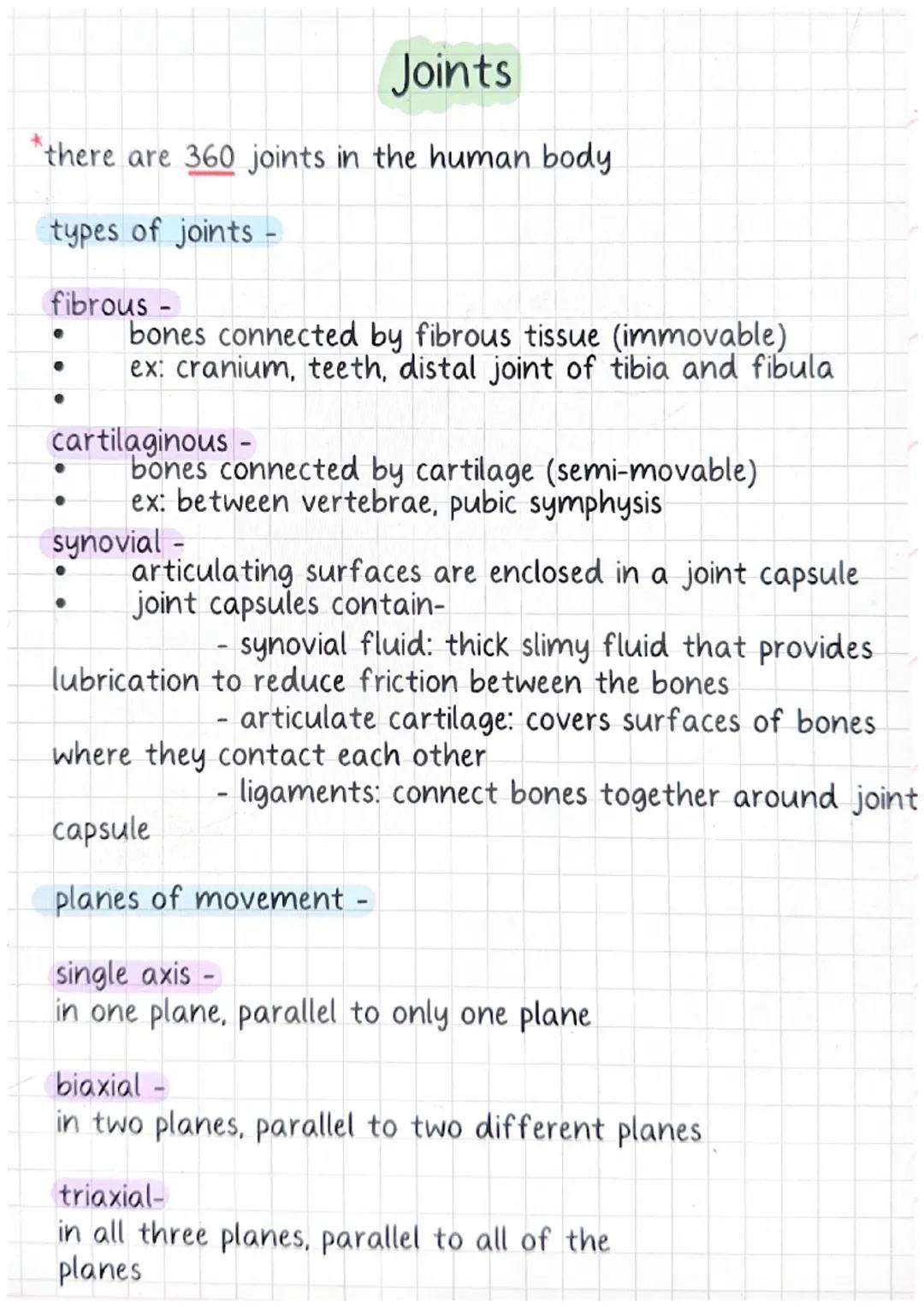 Types of Joints in Human Body