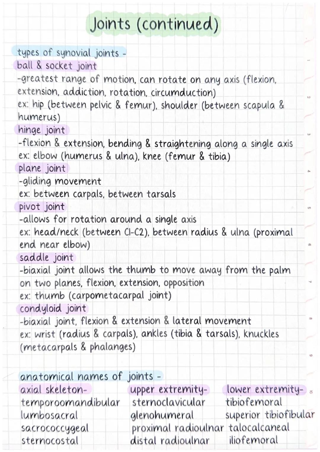 Joints
"there are 360 joints in the human body.
types of joints -
fibrous -
bones connected by fibrous tissue (immovable)
ex: cranium, teeth