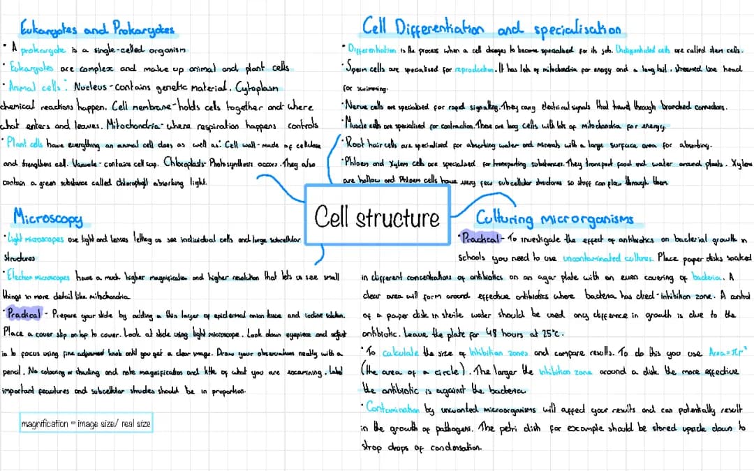 Cell Structure - Biology 
