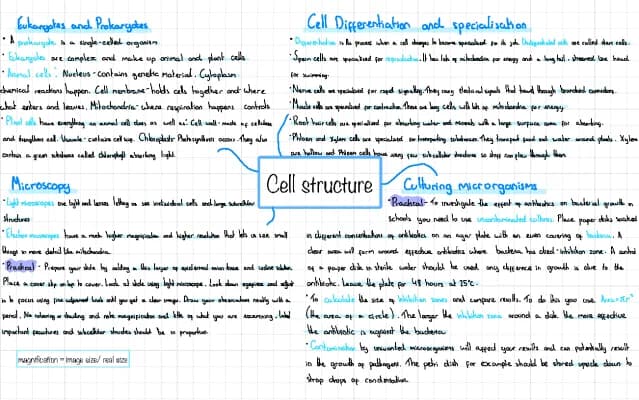Know Cell Structure - Biology  thumbnail