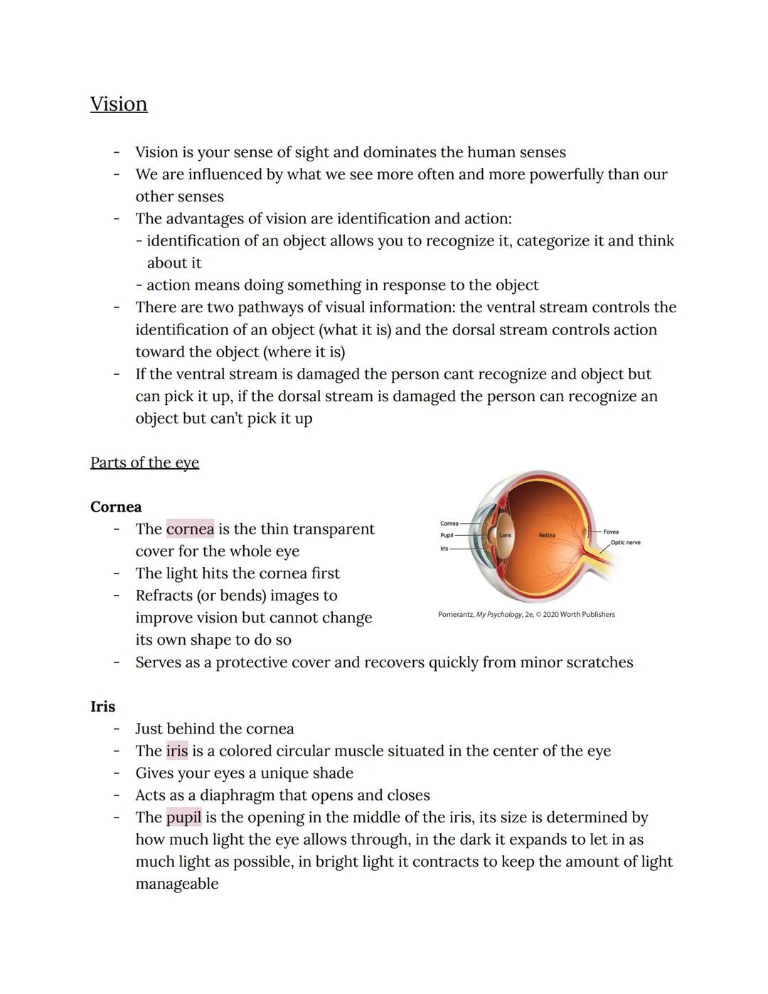 Vision
Vision is your sense of sight and dominates the human senses
We are influenced by what we see more often and more powerfully than our