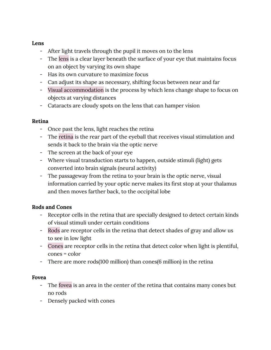 Vision
Vision is your sense of sight and dominates the human senses
We are influenced by what we see more often and more powerfully than our