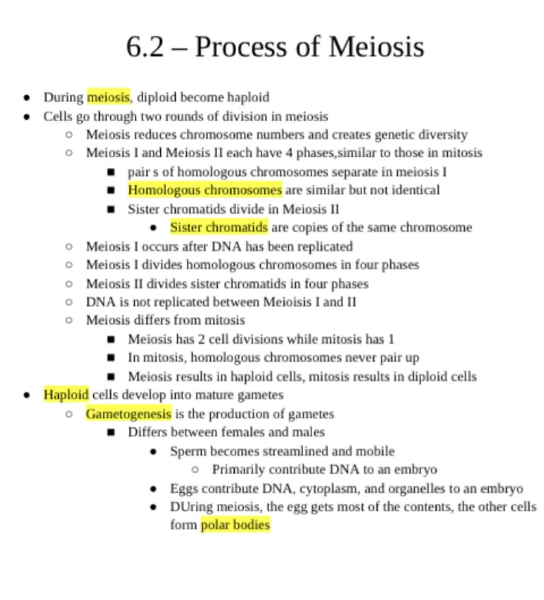 Chapter 6 Section 2: Process of Meiosis 
