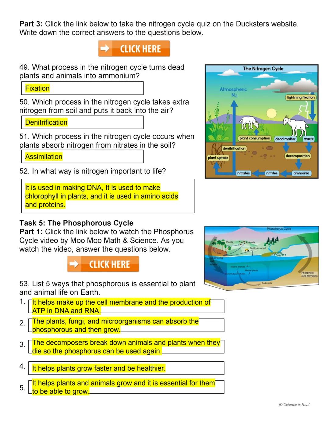 Biogeochemical Cycles Webquest
Task 1: Introduction to the Biogeochemical Cycles
Click the link below to watch the Biogeochemical Cycling vi