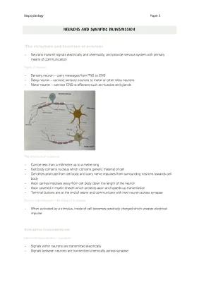 Know Neurons and synaptic transmission thumbnail