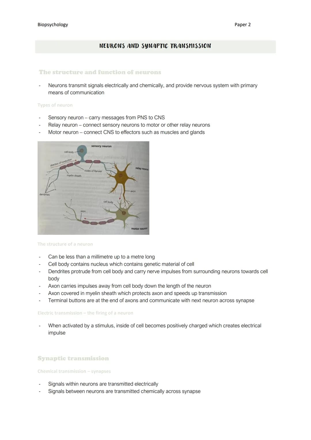 Biopsychology
Types of neuron
The structure and function of neurons
Neurons transmit signals electrically and chemically, and provide nervou