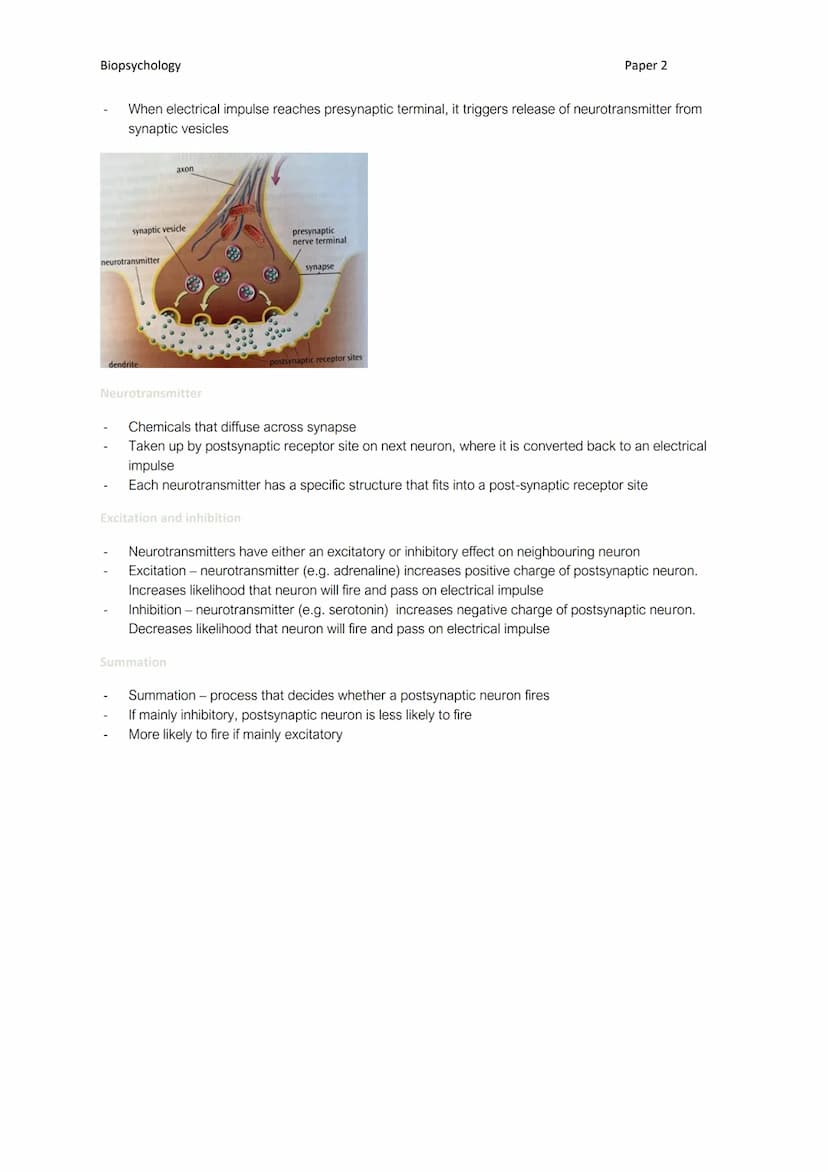 Biopsychology
Types of neuron
The structure and function of neurons
Neurons transmit signals electrically and chemically, and provide nervou