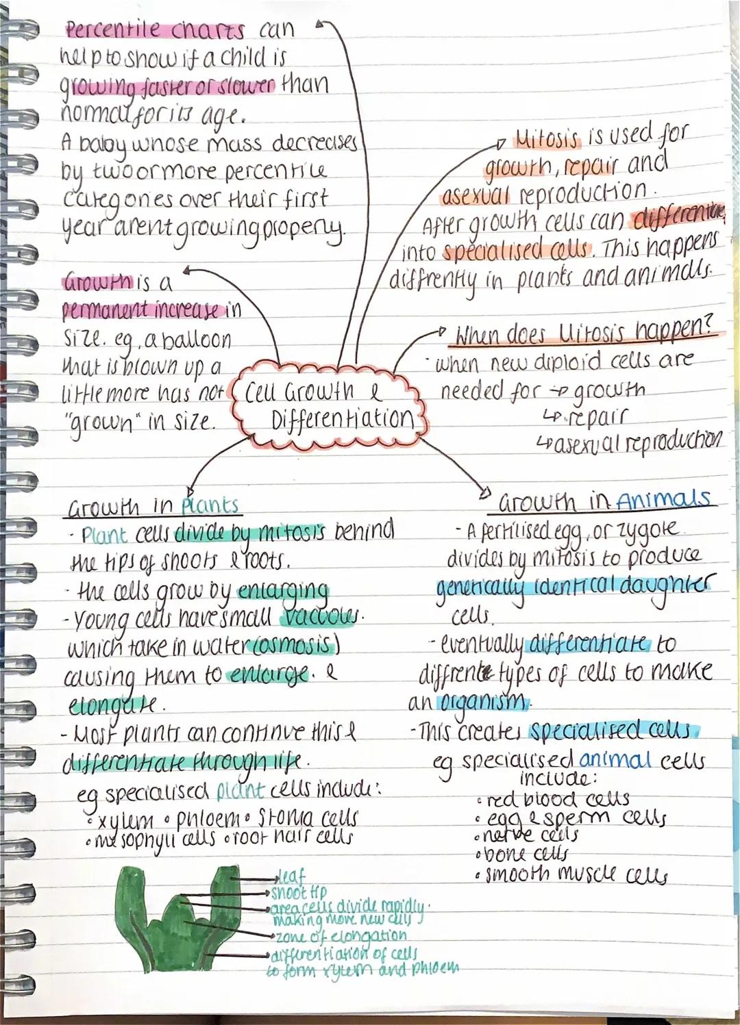 Cell growth and differentiation & percentile charts