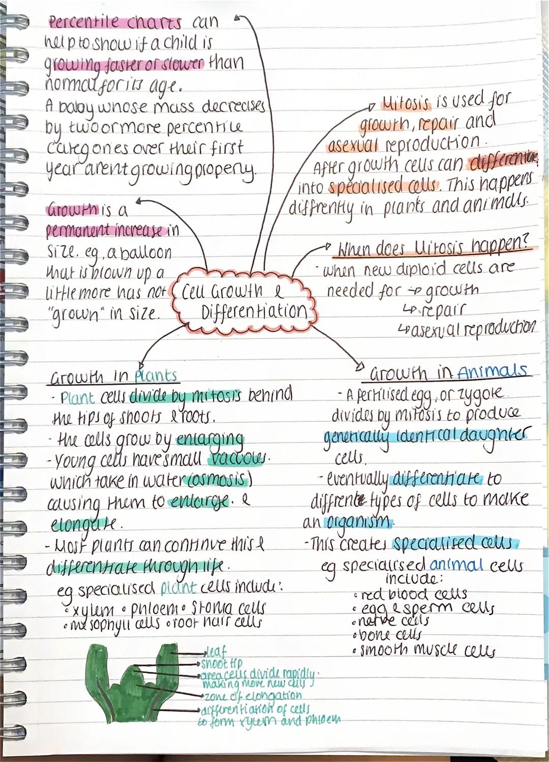 Percentile charts can
help to show if a child is
growing faster or slower than
normal for its age.
A baby whose mass decreases!
by two or mo