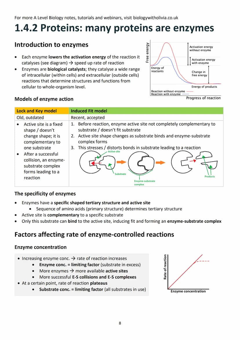 Topic 1: Biological Molecules
Contents (checklist)
1.1 Monomers and polymers .....
Monomers and polymers.....
Condensation and hydrolysis re