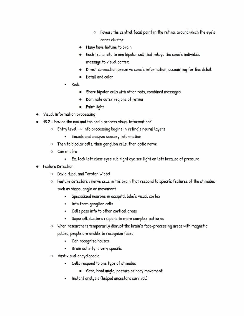 UNIT 4: Sensation and Perception
Module 16: Basic Principles of Sensation and Perception
● 16.1 - What are sensation and perception? What do