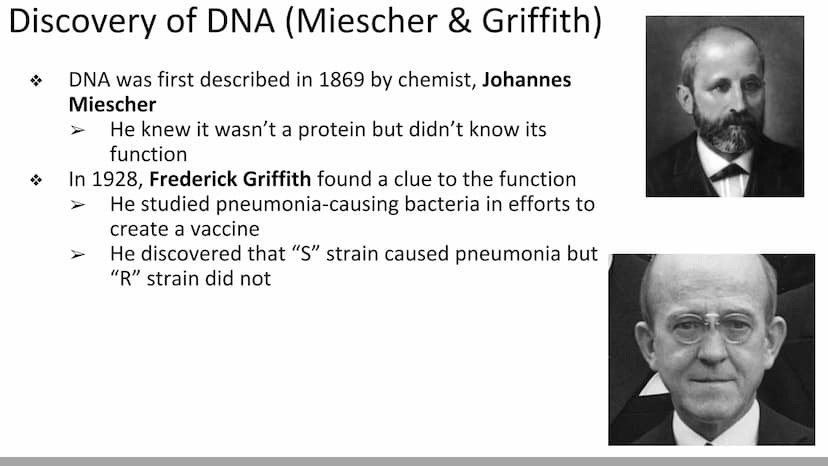 DNA Structure & Function
Biology X Discovery of DNA (Miescher & Griffith)
DNA was first described in 1869 by chemist, Johannes
Miescher
He k