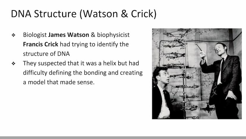DNA Structure & Function
Biology X Discovery of DNA (Miescher & Griffith)
DNA was first described in 1869 by chemist, Johannes
Miescher
He k