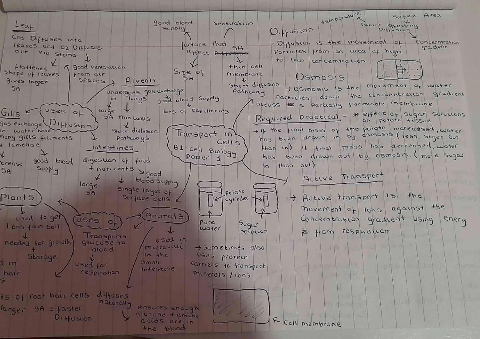Cell Differentiation
→Cells aquere extra Sub-Cellular Structures to have
a Particular function in the body.

nerve cell long
Axons
carry ele
