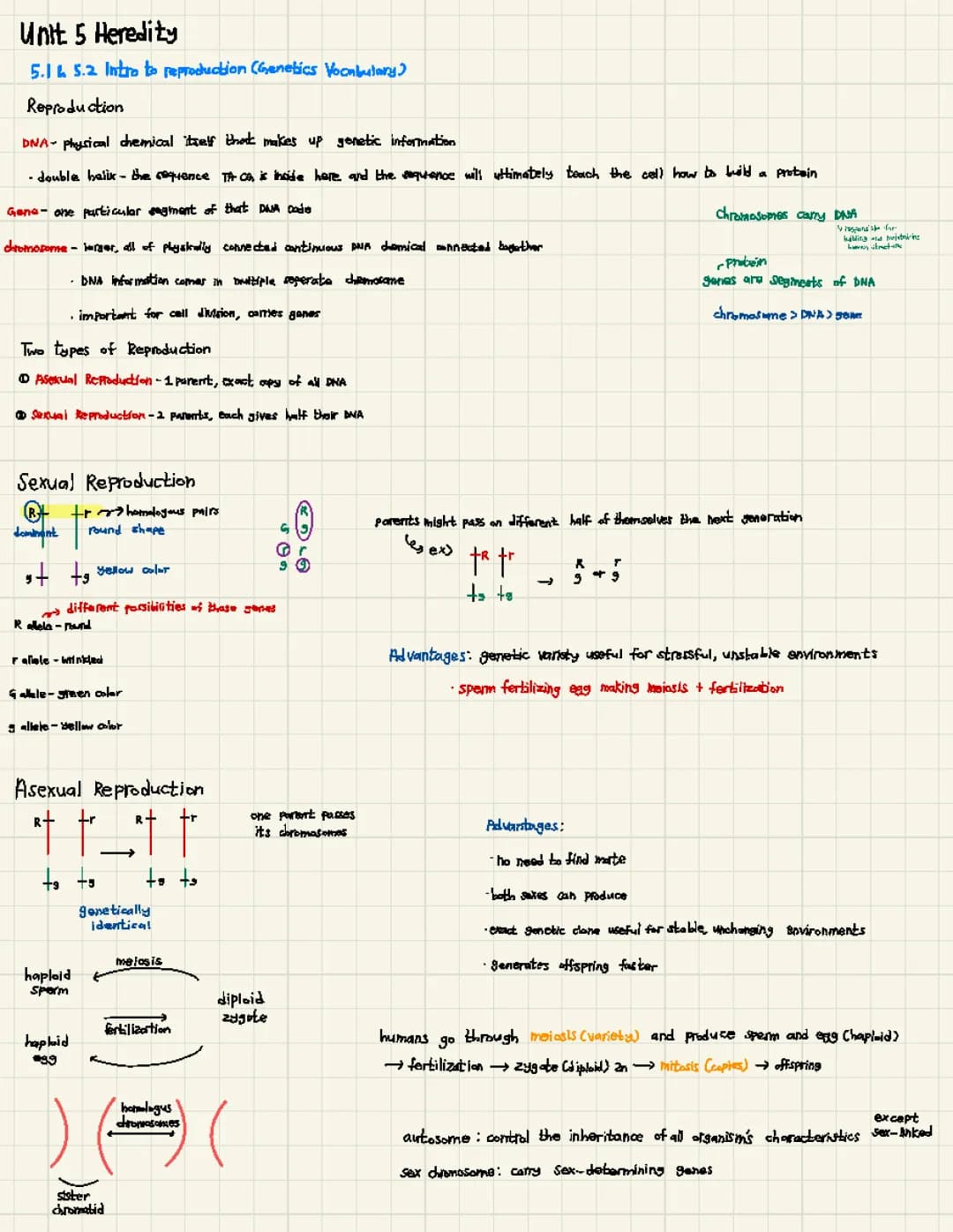 AP Biology Unit 5 Heredity: Practice Test and Review