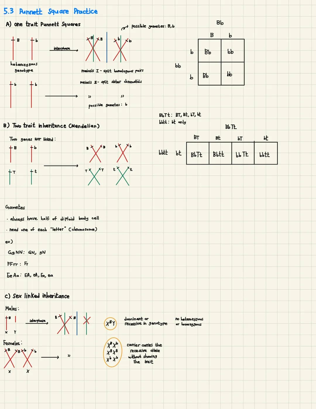 
<h2 id="introductiontoreproductiongeneticsvocabulary">Introduction to Reproduction (Genetics Vocabulary)</h2>
<p>Reproduction involves the 