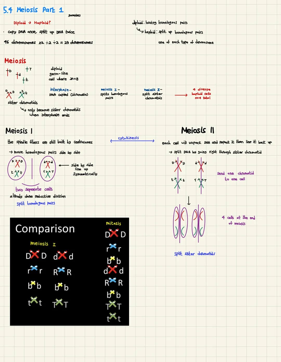 
<h2 id="introductiontoreproductiongeneticsvocabulary">Introduction to Reproduction (Genetics Vocabulary)</h2>
<p>Reproduction involves the 
