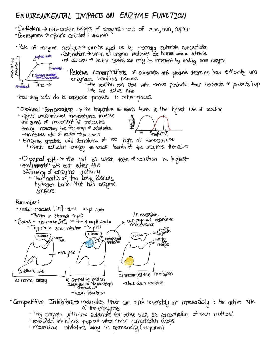 CELLULAR ENERGY AND
Cancept 6.1: metabolism transforms matter and energy
Def: metabolism is totality of an organism's chemical reactions
in 