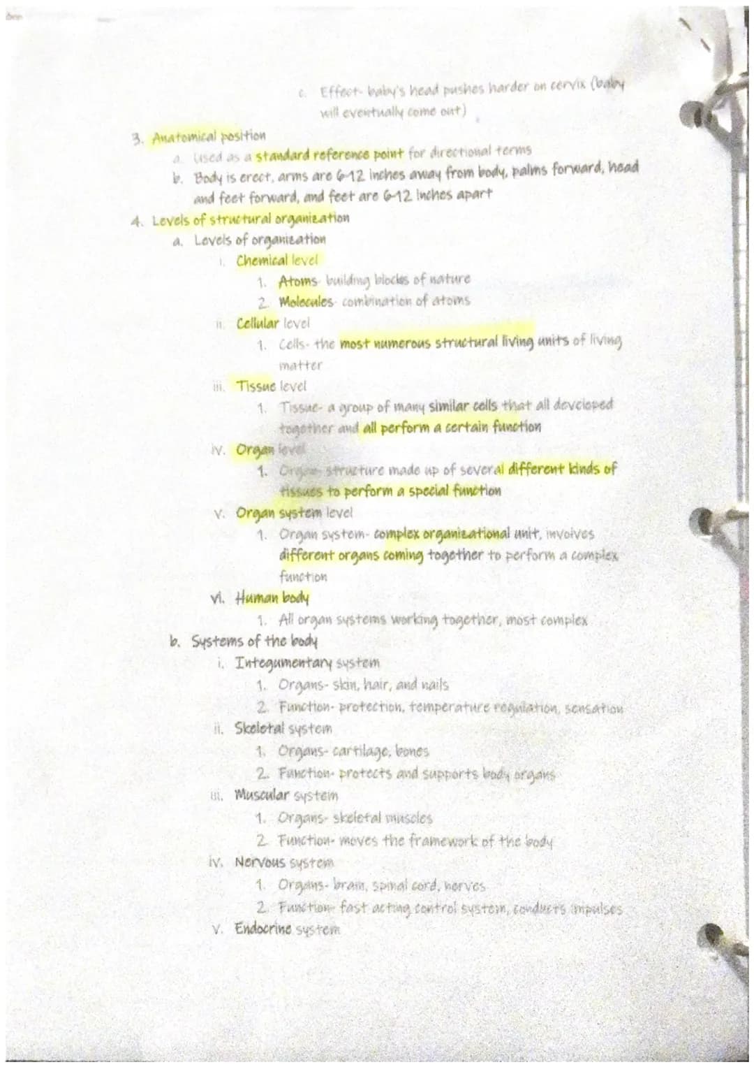 Anatommy Basics
A Anatomy & Physiology
1. Anatomy
a. Study of the structure and shape of the body and their body parts and
how they relate t