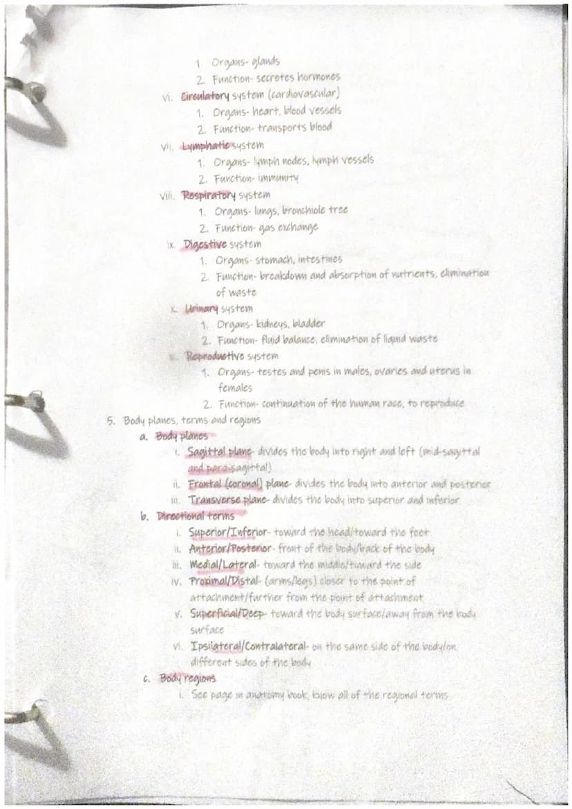Anatommy Basics
A Anatomy & Physiology
1. Anatomy
a. Study of the structure and shape of the body and their body parts and
how they relate t