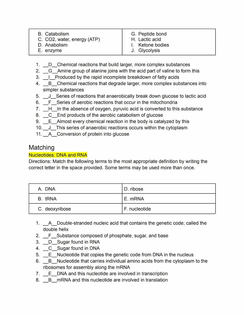 PART 1: Mastering the Basics
Matching
Carbohydrates, Fats, and Proteins
Directions: Match the following terms to the most appropriate defini