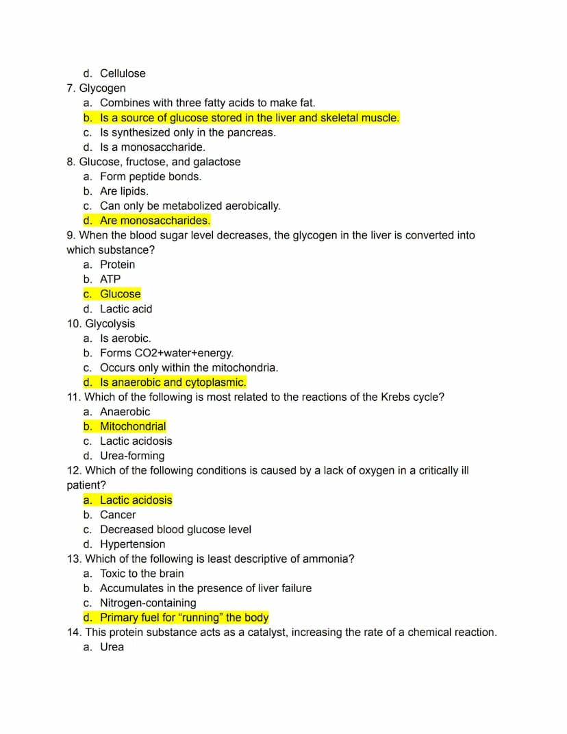 PART 1: Mastering the Basics
Matching
Carbohydrates, Fats, and Proteins
Directions: Match the following terms to the most appropriate defini