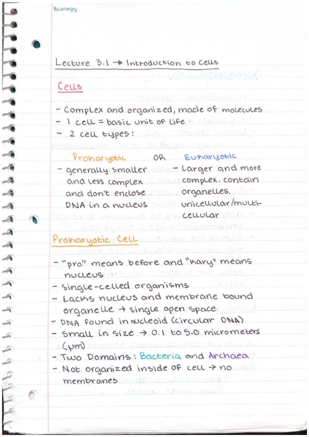 Introduction to Cells: Basic Units of Life