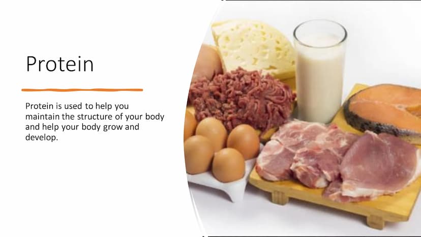 Food Groups
Sources: NHS, Healthline.com
V
18 What are the food groups ?
Carbohydrates
Fats
• Proteins
• Fibres
●
●
●
Vitamins
Minerals
• Wa