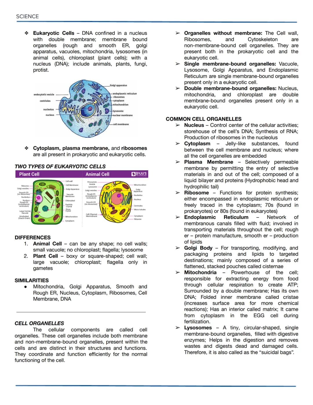 SCIENCE
BIOLOGY
COLLEGE ADMISSION TEST (CAT) REVIEWER
COMPOUND MICROSCOPE
PARTS OF A COMPOUND MICROSCOPE
Eyepiece (Ocular lens)
Diopter adju