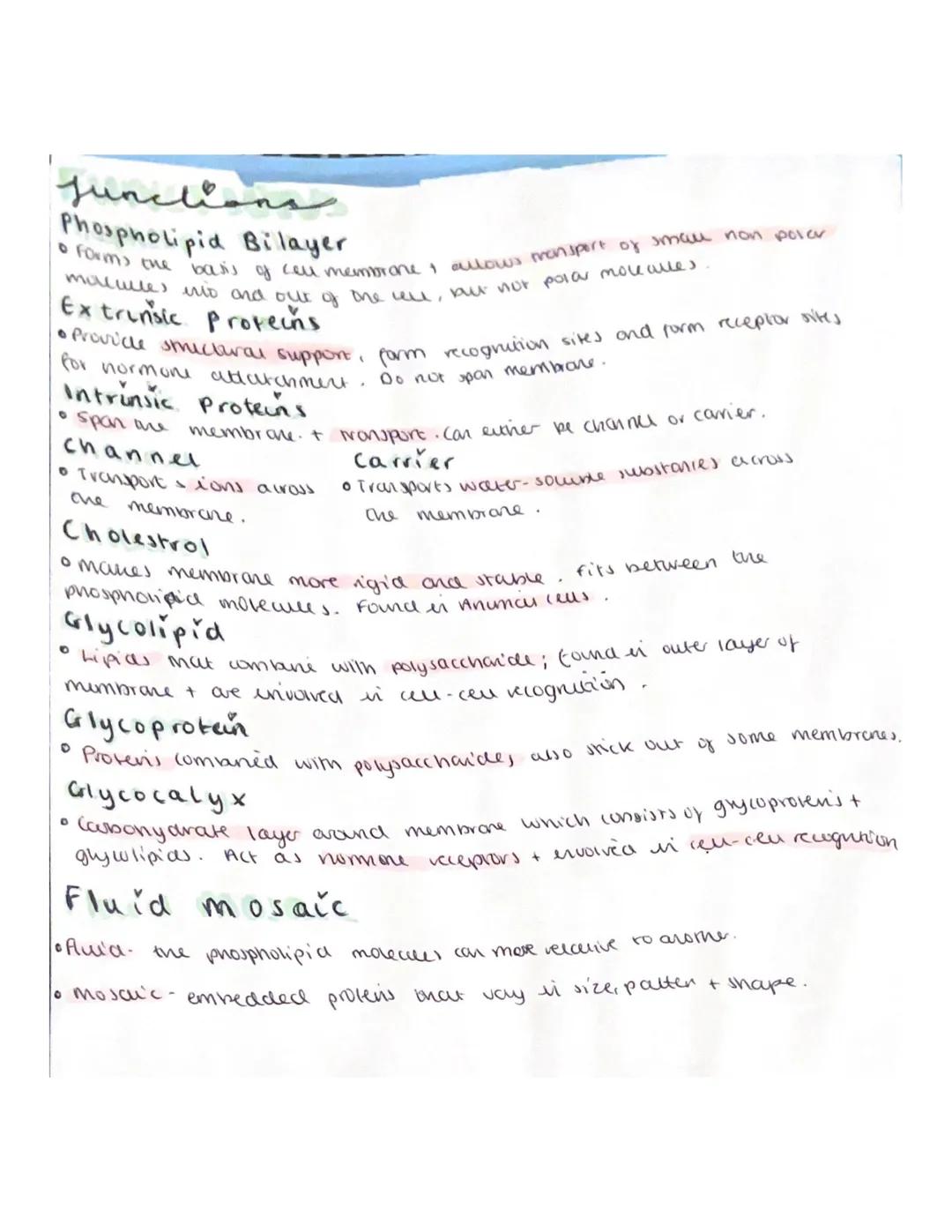 UNIT 1*3 Cell membranes + transport

cell mem

• The width of arelu membrane does not vay beoveen organisms,
it is 1.8m,

Functions:

• The 
