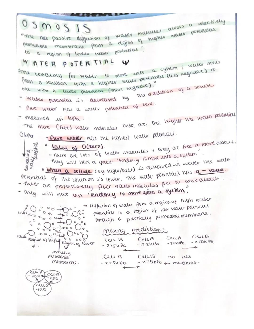 UNIT 1*3 Cell membranes + transport

cell mem

• The width of arelu membrane does not vay beoveen organisms,
it is 1.8m,

Functions:

• The 