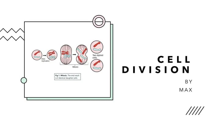 Know Cell Division  thumbnail