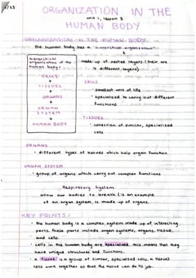 Know Organization in the Human Body thumbnail