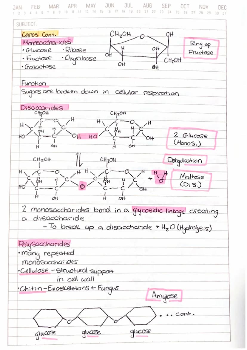 
<h2 id="introduction">Introduction</h2>
<p>The Chemistry of Life is a fundamental topic in biology that explores the basic building blocks 