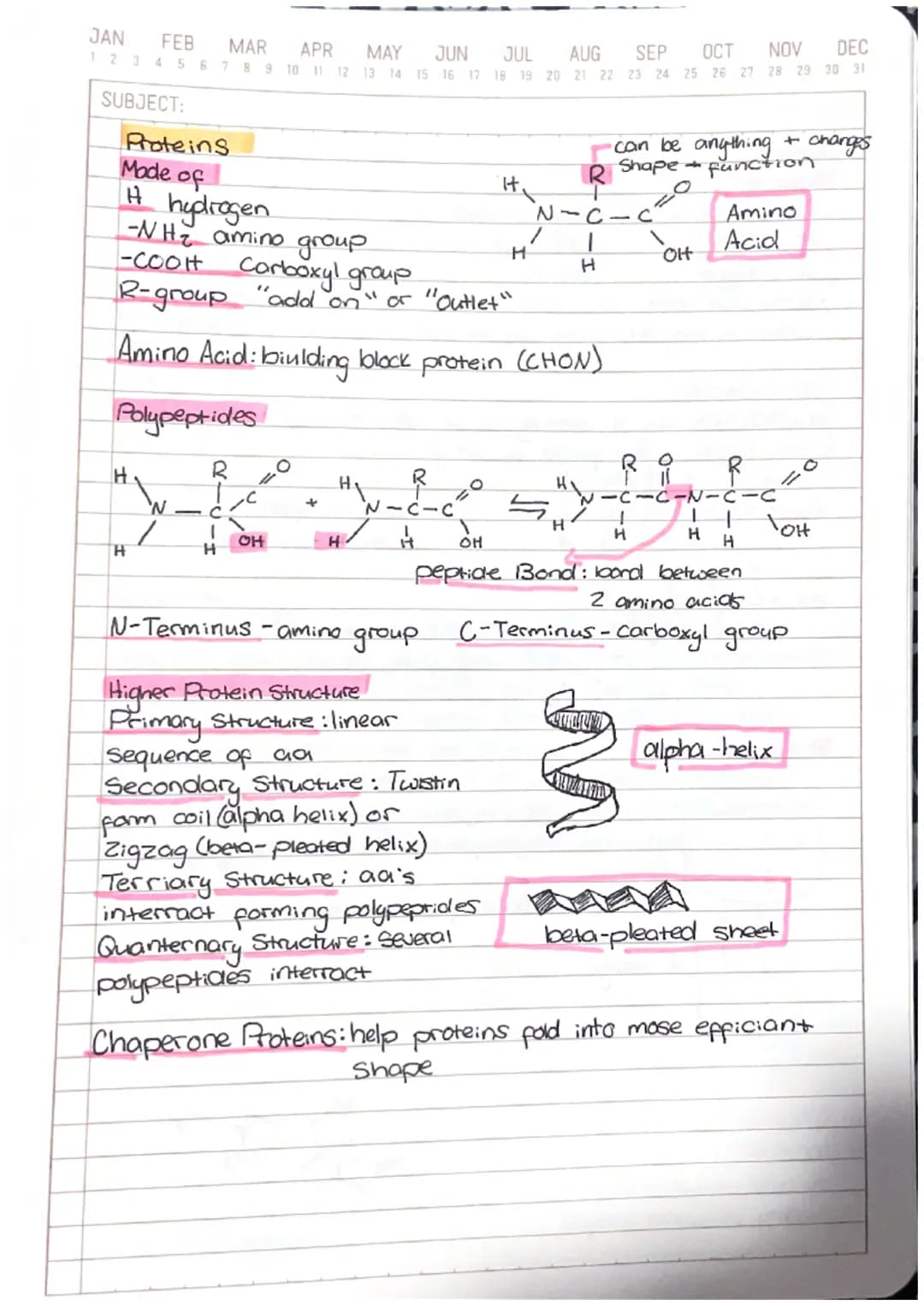 
<h2 id="introduction">Introduction</h2>
<p>The Chemistry of Life is a fundamental topic in biology that explores the basic building blocks 